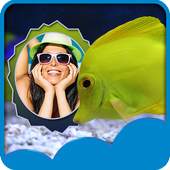 Fish Photo Frames 1.7