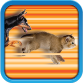 Dog Vs Cat icon