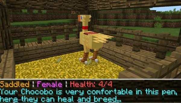 ChocoCraftPe Mod for Minecraft screenshot 1