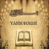 Surah Yaseen (Audio) icon