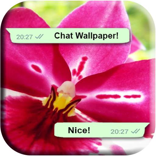 Flowers for Whatsapp Wallpaper 4K 1.03