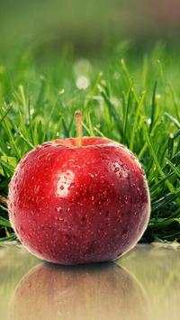 Apple Wallpapers HD screenshot 10