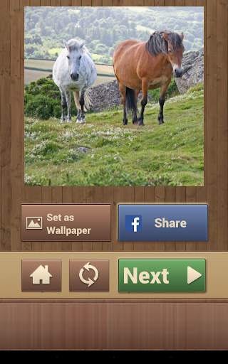 Horse Puzzles Free screenshot 17