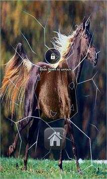 Runing Horse Live Wallpaper screenshot 1