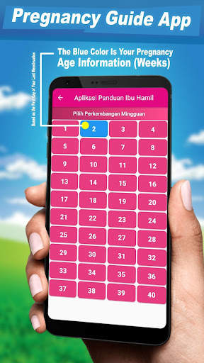 Pregnancy Guide Tracker screenshot 5