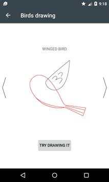 how to learn Draw Birds screenshot 5