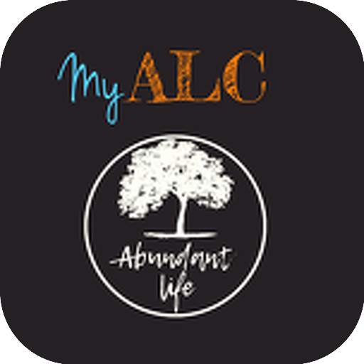 My ALC 2.8.1