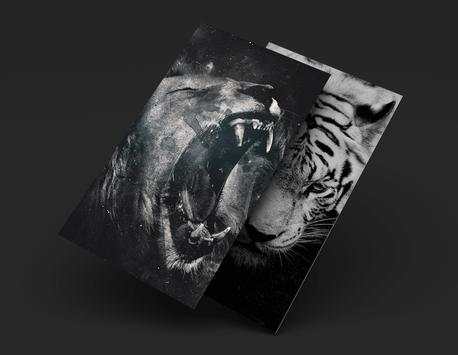Black Wallpapers HD 4K скриншот 7