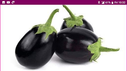 Learn Tamil Fruits and Vegetables Names screenshot 14