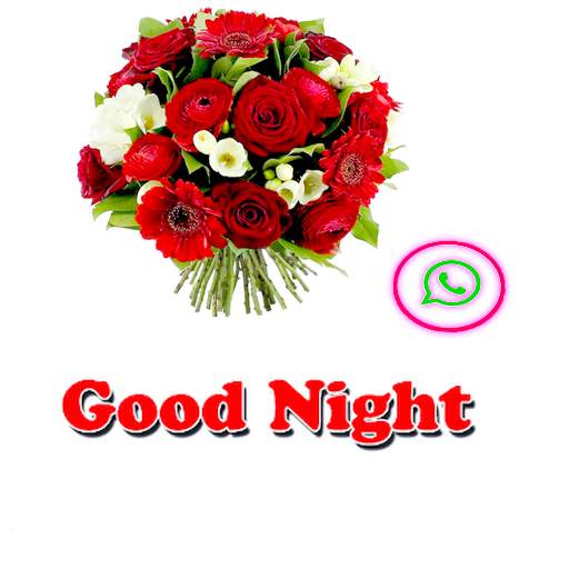 Good Evening sticker Night SweetDream for WhatsApp screenshot 2