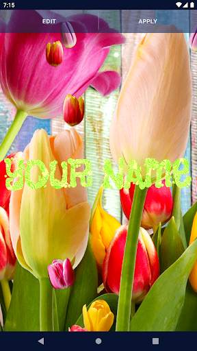 Tulips Spring Live Wallpaper screenshot 2