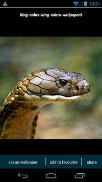 King Cobra Wallpapers screenshot 4