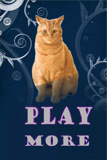 Cats Game: Memory screenshot 1
