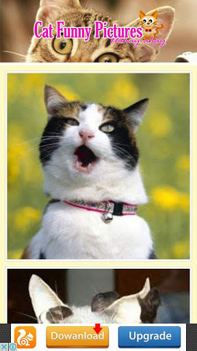 Funny Cat screenshot 1