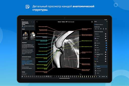 vet-Anatomy скриншот 13