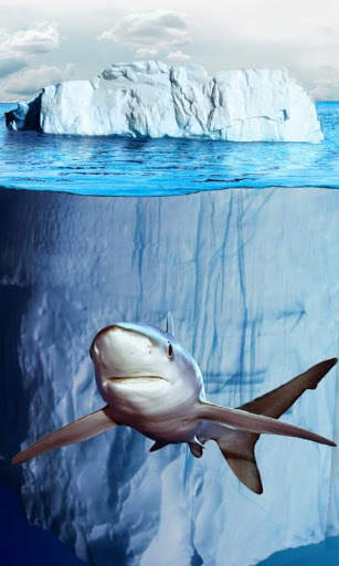 Cute shark lost स्क्रीनशॉट 1