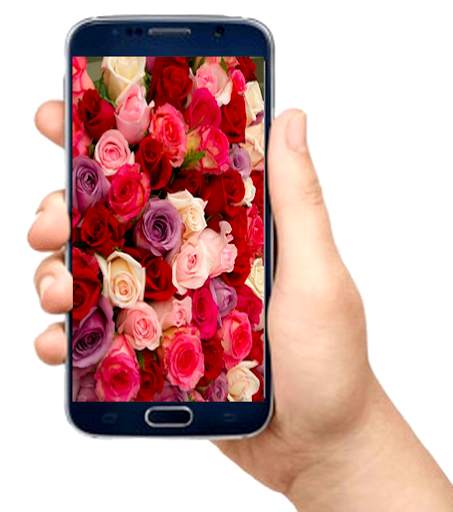 flower wallpaper screenshot 2