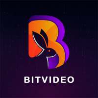BitVideo: Story Video Maker logo