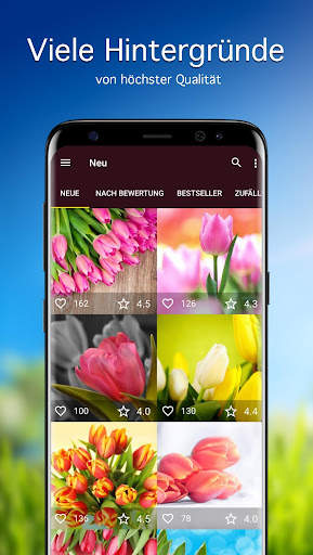Hintergrundbilder mit Tulpe 4K screenshot 1