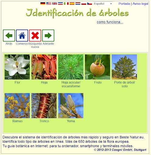 Identificación de árboles screenshot 1