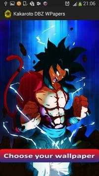 Kakaroto DBZ WPapers screenshot 2