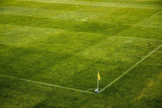 Football IQ Game screenshot 4