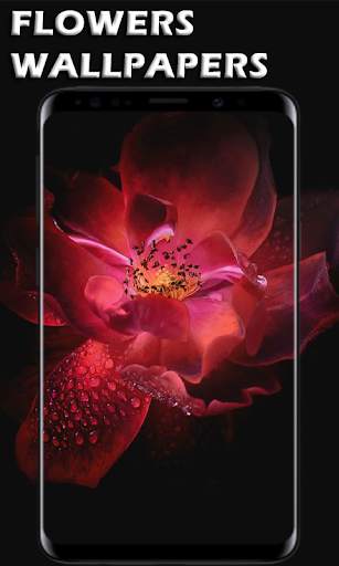 Flowers Wallpapers Ultra HD - Flowers 4K Wallpaper screenshot 8
