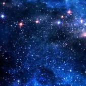 Evolution for Pokemon: Pokedex