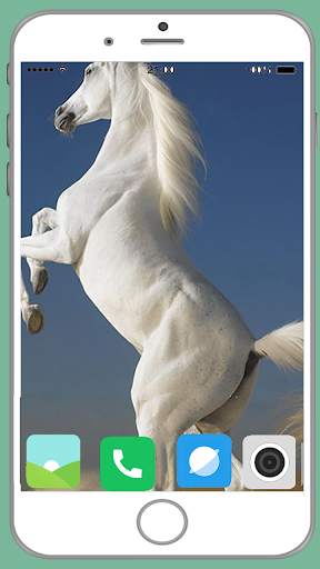 Horse Full HD Wallpaper screenshot 7