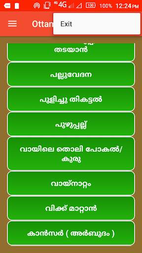 Ottamooli in Malayalam screenshot 4
