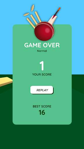Tic Tok Cricket screenshot 8