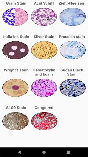 Bacteria Stains Lite screenshot 1