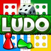 Ludo Winner 1.1