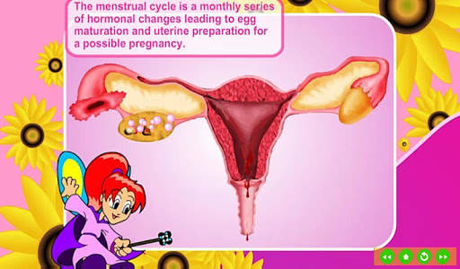 Menstrual Cycle скриншот 7