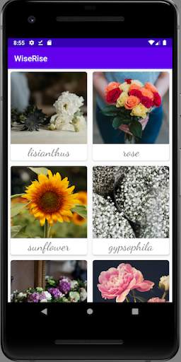 WishRise Flowers 1 تصوير الشاشة