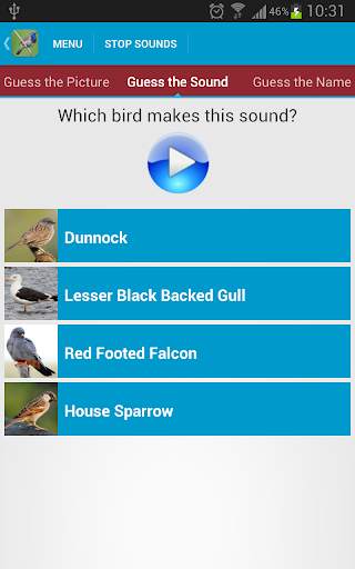 UK Birds Sounds Free स्क्रीनशॉट 5