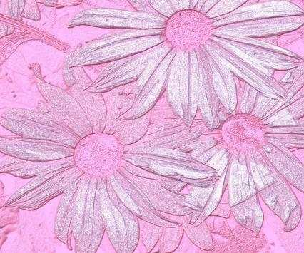 Wallpapers Pink Edition screenshot 4