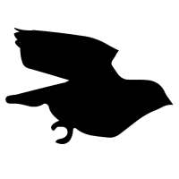 Fly with Me