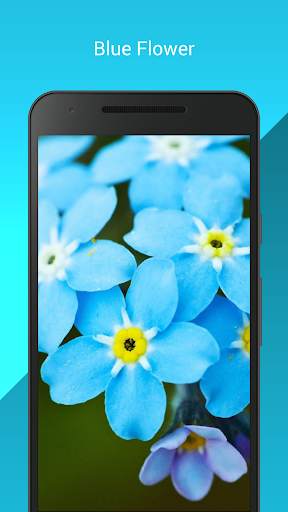 My Flowers Colors HD WALLPAPER screenshot 7
