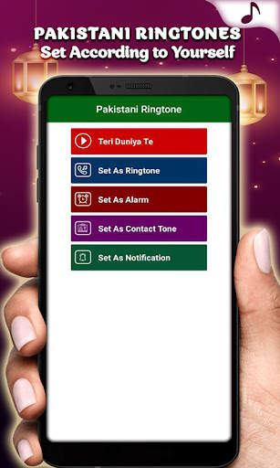 Pakistani Ringtone Song screenshot 4