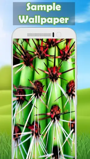 Cactus Wallpaper 🌵 screenshot 3