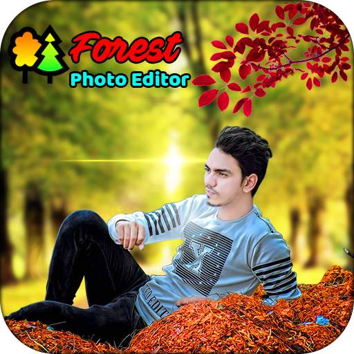 Forest Photo Editor 1.1