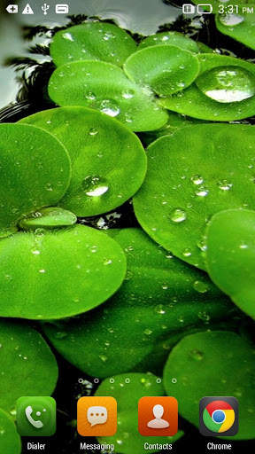Green Leaf Live Wallpaper screenshot 1