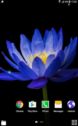 Tropical Flower Live Wallpaper screenshot 8