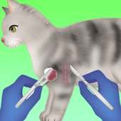 cat surgery games logo
