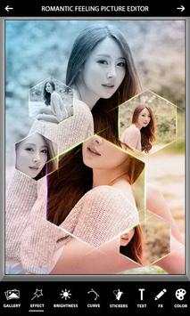 Romantic Feeling Picture Editor screenshot 5