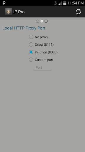 IP Pro (Open Source) screenshot 3
