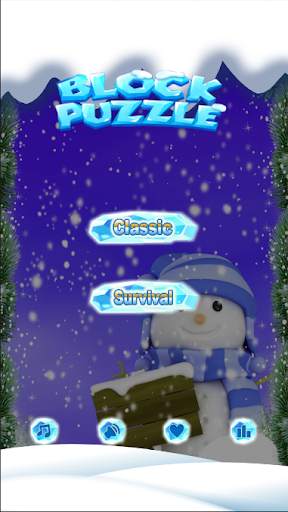 New Snow Block Puzzle 2020 screenshot 1