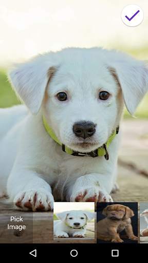 Cute Puppy Lock Screen screenshot 3