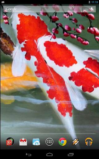 Interactive Koi Fish 3D screenshot 3